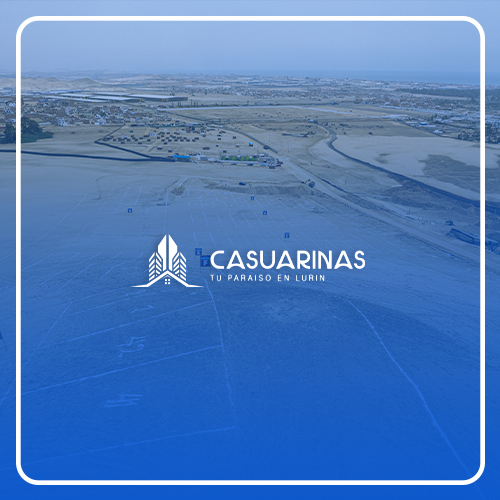 CASUARINAS